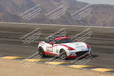 media/Mar-29-2025-Pro Autosports (Sat) [[89b1c017ad]]/1-Orange Group/Session 2 Bowl/